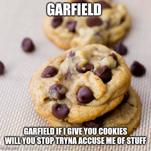 Gang like why do you hate me | Garfield; Garfield if I give you cookies will you stop tryna accuse me of stuff | image tagged in punny cookies | made w/ Imgflip meme maker