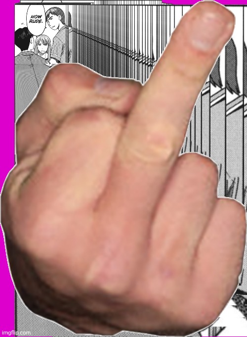 image tagged in middle finger | made w/ Imgflip meme maker