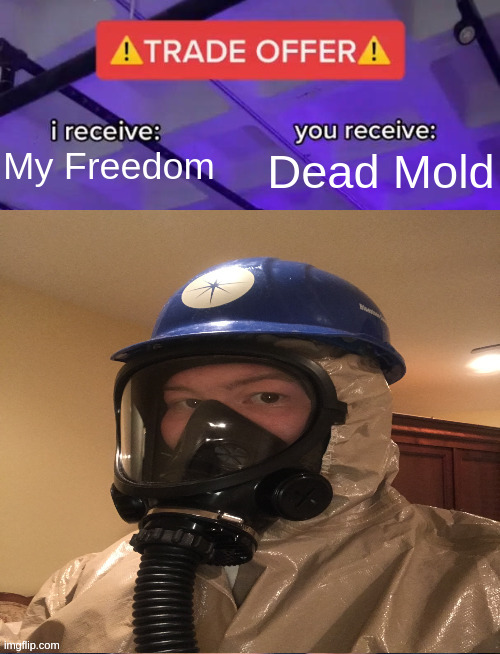 I hope I can kill the mold to set myself free from here | My Freedom; Dead Mold | image tagged in hazmat trade offer | made w/ Imgflip meme maker