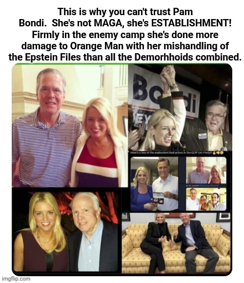 Pam Bondi RINO | image tagged in pam bondi rino | made w/ Imgflip meme maker