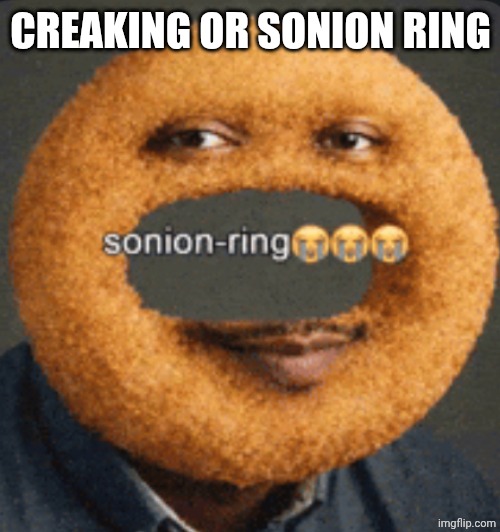 sonion ring | Creaking or sonion ring | image tagged in sonion ring | made w/ Imgflip meme maker