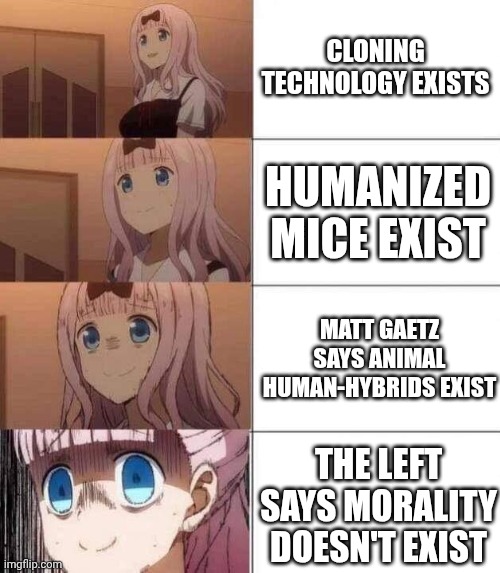I don't like where this feedback loop is going | Cloning technology exists; Humanized mice exist; Matt Gaetz says animal human-hybrids exist; The left says morality doesn't exist | image tagged in chika template,human rights,human wrongs,morality,cultural marxism,nihilism | made w/ Imgflip meme maker