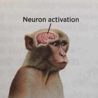 Neuron Activation Blank Meme Template