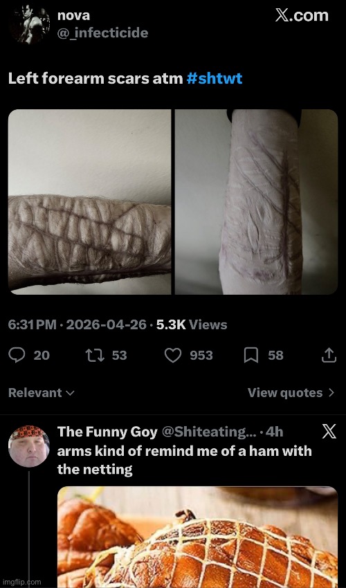 IMG_1288.jpeg | image tagged in img_1288 jpeg | made w/ Imgflip meme maker