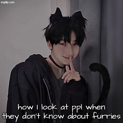 if they don't know then what do I do???? | how I look at ppl when they don't know about furries | image tagged in heheheha | made w/ Imgflip meme maker
