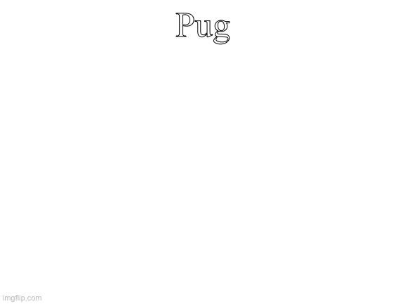 Blank White Template | Pug | image tagged in blank white template | made w/ Imgflip meme maker