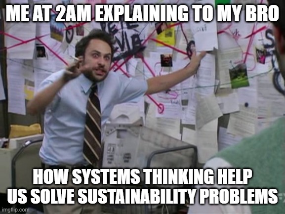 systems thinking ftw | Me at 2am explaining to my bro; how systems thinking help us solve sustainability problems | image tagged in charlie day | made w/ Imgflip meme maker