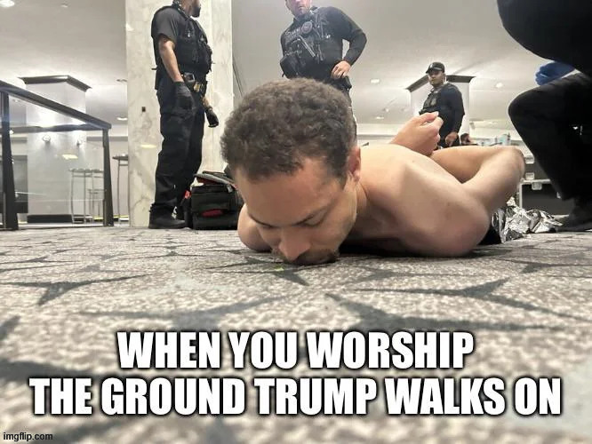 Why did they do it? | image tagged in they worship the ground he walks on | made w/ Imgflip meme maker