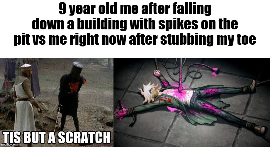9 year old me after falling down a building with spikes on the pit vs me right now after stubbing my toe | image tagged in tis but a scratch,relatable,true | made w/ Imgflip meme maker