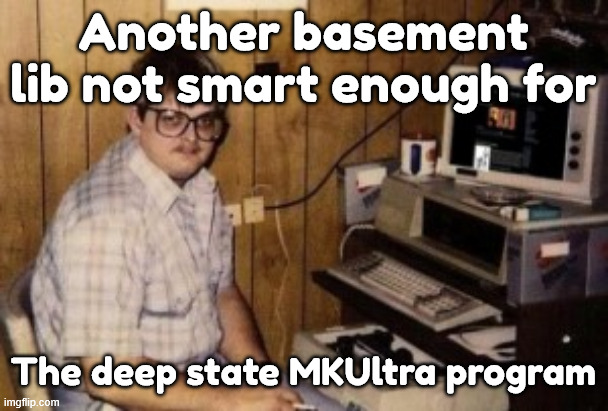 mom's basement guy | Another basement lib not smart enough for; The deep state MKUltra program | image tagged in mom's basement guy | made w/ Imgflip meme maker