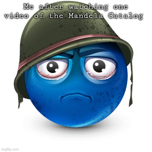 Thousand-yard stare blue emoji | Me after watching one video of the Mandela Catalog | image tagged in thousand-yard stare blue emoji | made w/ Imgflip meme maker