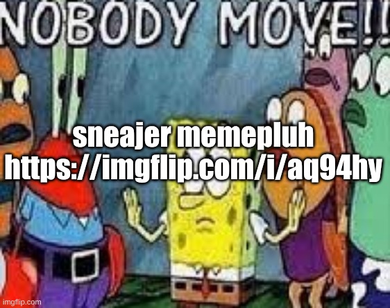 NOBODY MOVE!! | sneajer memepluh https://imgflip.com/i/aq94hy | image tagged in nobody move | made w/ Imgflip meme maker