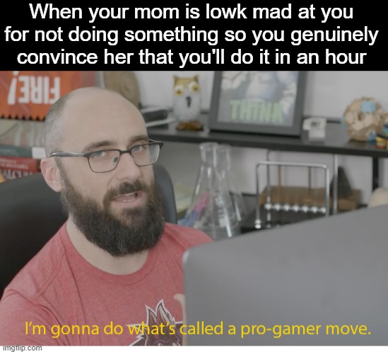 This is big brain time | When your mom is lowk mad at you for not doing something so you genuinely convince her that you'll do it in an hour | image tagged in i'm gonna do what's called a pro-gamer move,memes,fun | made w/ Imgflip meme maker