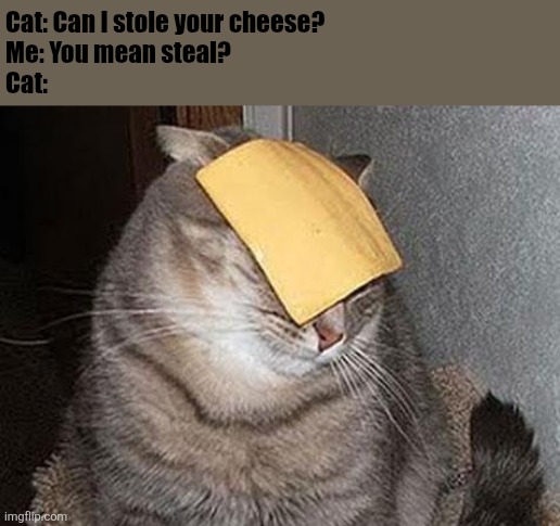 Cat stole the cheese | Cat: Can I stole your cheese? 
Me: You mean steal? 
Cat: | image tagged in cats with cheese,cat,cheese | made w/ Imgflip meme maker