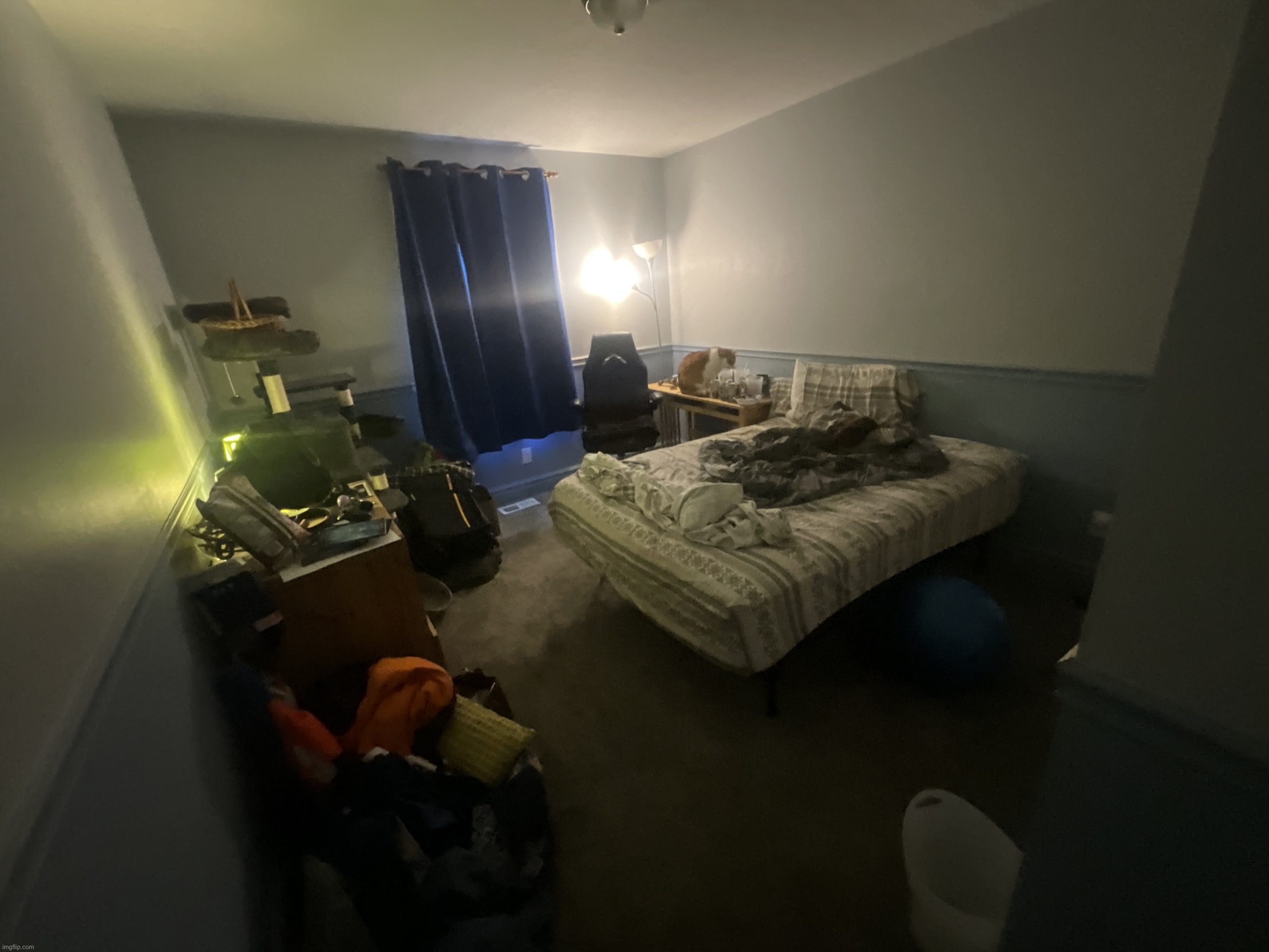 finally i cleaned my floor | image tagged in image jpg | made w/ Imgflip meme maker