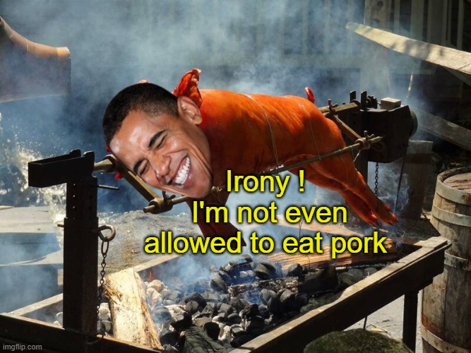 Irony !
 I'm not even allowed to eat pork | made w/ Imgflip meme maker