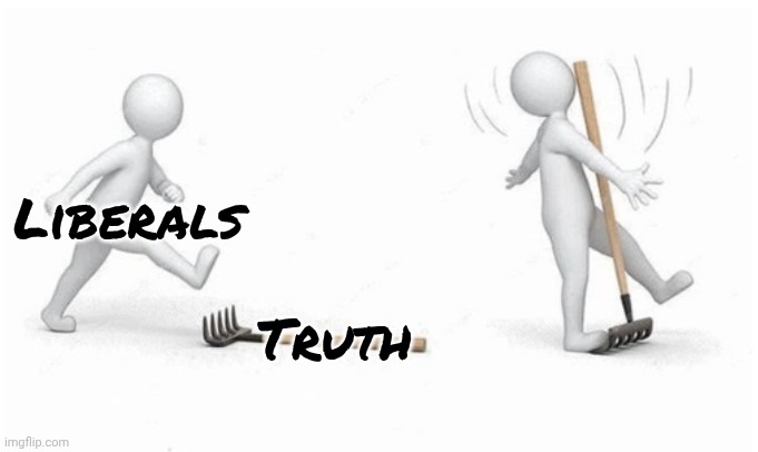 Ouch | Liberals Truth | image tagged in ouch | made w/ Imgflip meme maker