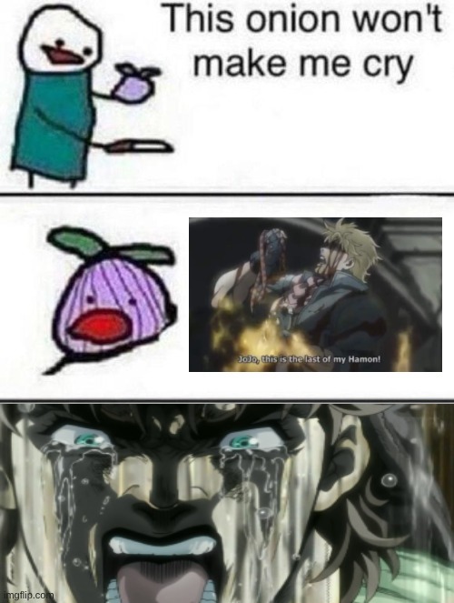 SHIZA!! | image tagged in this onion wont make me cry,jojo this is the last of my hamon | made w/ Imgflip meme maker