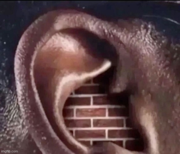 brick ear | image tagged in brick ear | made w/ Imgflip meme maker