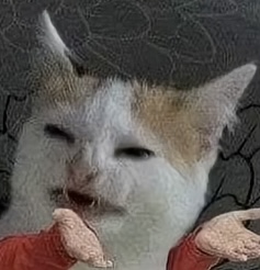 High Quality Confused Cat Blank Meme Template