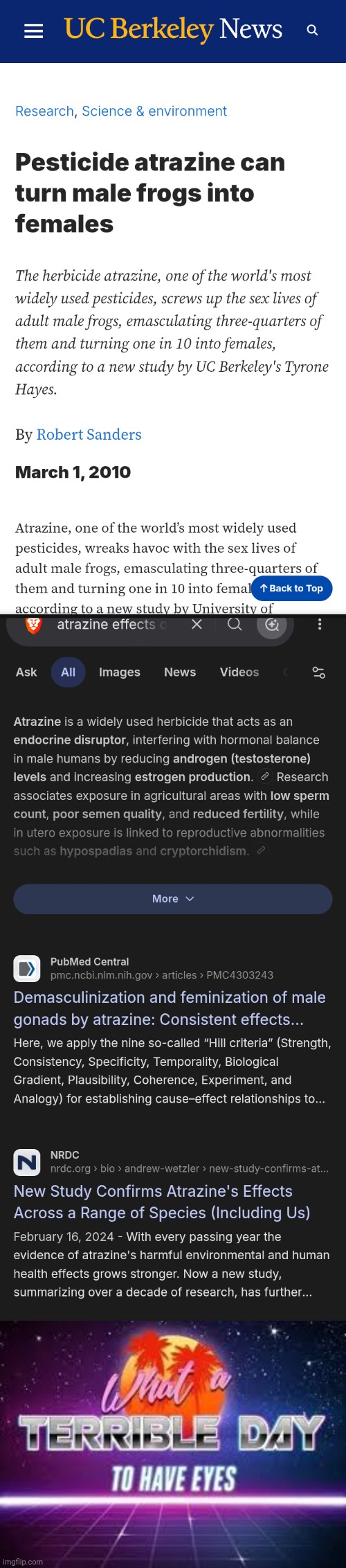 I'm speedrunning having The Onion buyout my imgflip posts | image tagged in what a terrible day to have eyes,conspiracy theory,alex jones,court,real news network | made w/ Imgflip meme maker