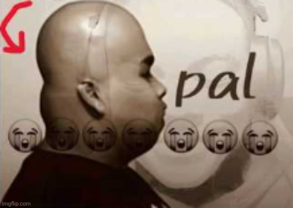 pal | image tagged in pal | made w/ Imgflip meme maker