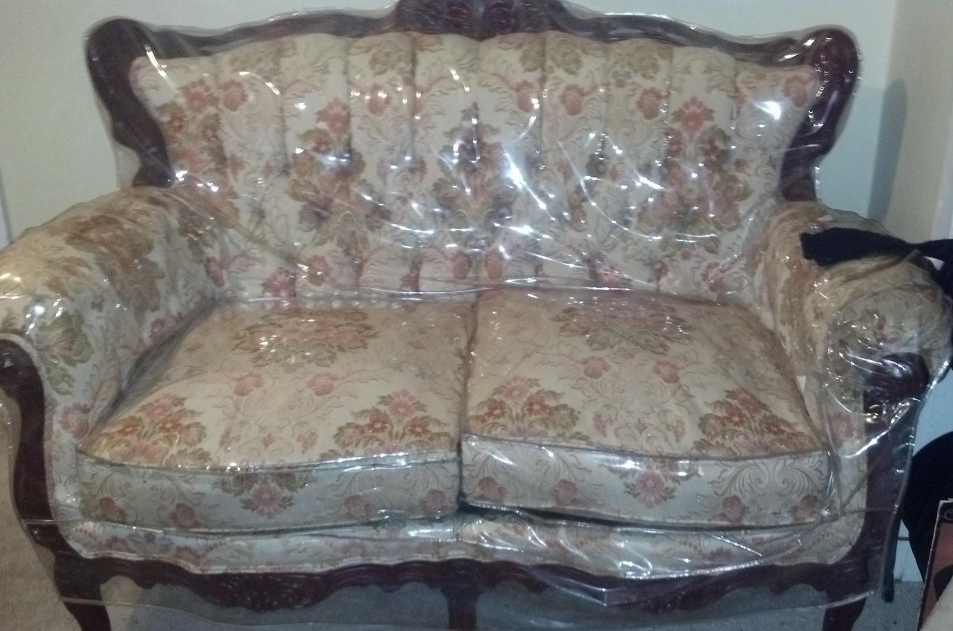 Couch protection Blank Meme Template