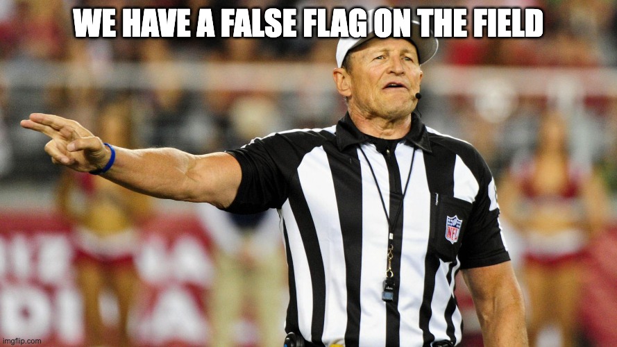 Logical Fallacy Referee | We have a false flag on the field | image tagged in logical fallacy referee | made w/ Imgflip meme maker