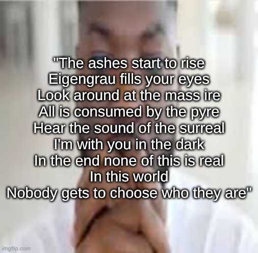 "The ashes start to rise
Eigengrau fills your eyes
Look around at the mass ire
All is consumed by the pyre
Hear the sound of the surreal
I'm with you in the dark
In the end none of this is real
In this world
Nobody gets to choose who they are" | made w/ Imgflip meme maker
