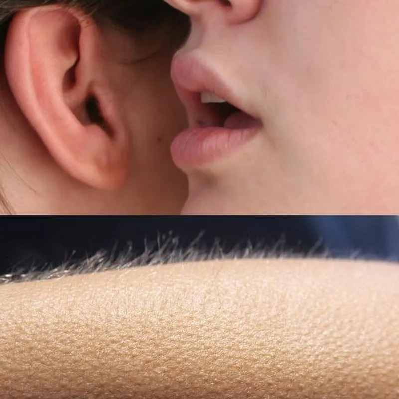 Goosebumps Blank Meme Template