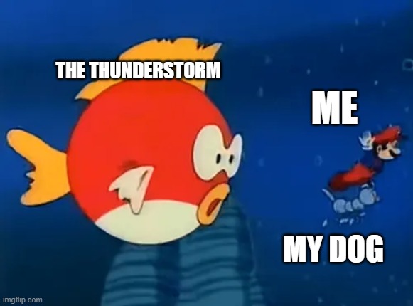 Running from the Storm | the thunderstorm; me; my dog | image tagged in mario flees from giant cheep-cheep | made w/ Imgflip meme maker
