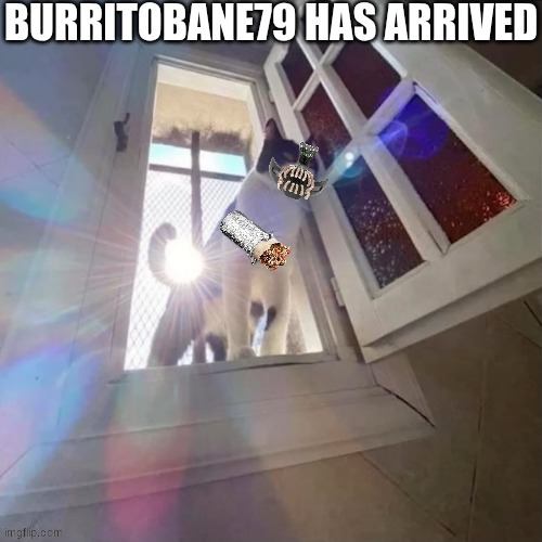 Guess whose old account is lost forever! Yup, it's me! | image tagged in burritobane79 jpg | made w/ Imgflip meme maker