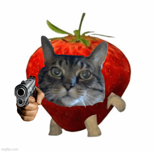My cat as a strawberry With a gun | image tagged in gifs,guns,cute cat | made w/ Imgflip images-to-gif maker