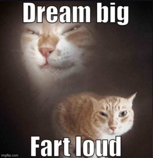 IMG_1061.jpeg | image tagged in img_1061 jpeg | made w/ Imgflip meme maker