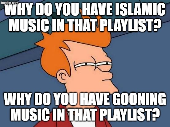 Futurama Fry Meme | Why do you have Islamic music in that playlist? Why do you have gooning music in that playlist? | image tagged in memes,futurama fry | made w/ Imgflip meme maker