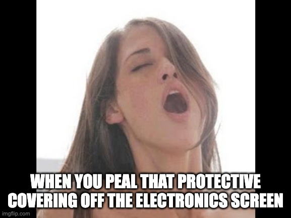 So satisfying | When you peal that protective covering off the electronics screen | image tagged in moaning woman,satisfying | made w/ Imgflip meme maker