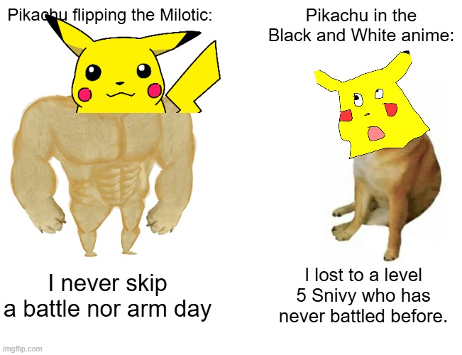 Buff Doge vs. Cheems Meme | Pikachu flipping the Milotic: Pikachu in the Black and White anime: I never skip a battle nor arm day I lost to a level 5 Snivy who has neve | image tagged in memes,buff doge vs cheems | made w/ Imgflip meme maker