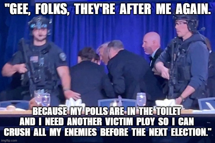 When Will I Be Loved? | "Gee,  folks,  they're  after  me  again. because  my  polls are  in  the  toilet  and  i  need  another  victim  ploy  so  i  can  crush  all  my  enemies  before  the  next  election." | image tagged in stop reading the tags | made w/ Imgflip meme maker