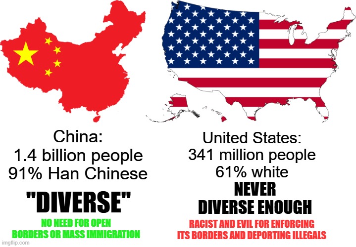 Leftist-globalist logic: | China:
1.4 billion people
91% Han Chinese; United States:
341 million people
61% white; never diverse enough; "diverse"; no need for open borders or mass immigration; racist and evil for enforcing its borders and deporting illegals | image tagged in memes,china,united states,diversity,hypocrisy,immigration | made w/ Imgflip meme maker