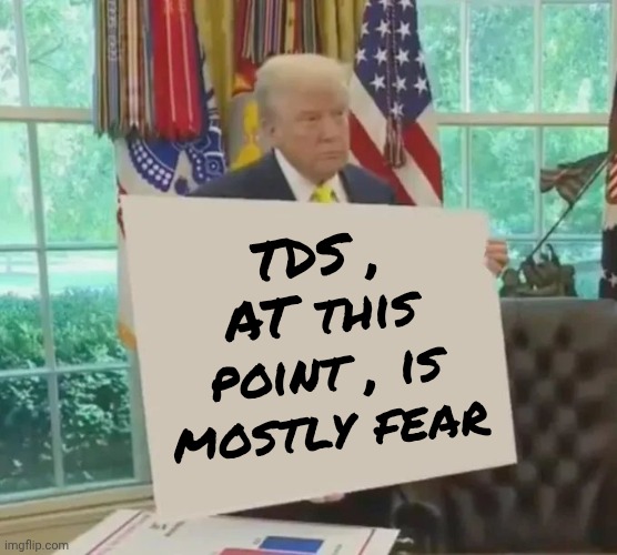TDS , AT this point , is mostly fear | image tagged in your idol president trump | made w/ Imgflip meme maker