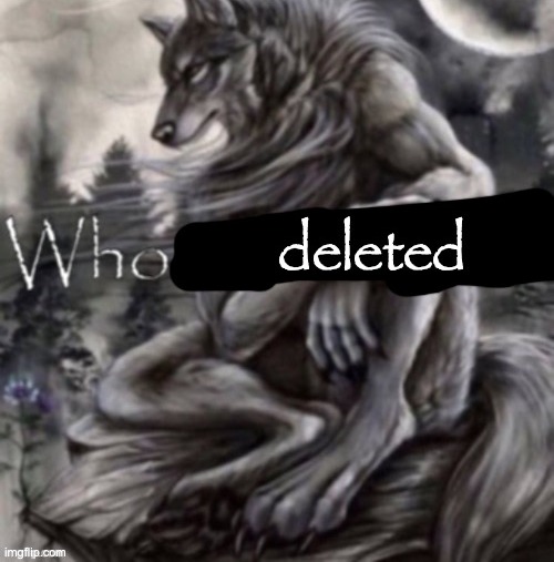 who deleted | image tagged in who deleted | made w/ Imgflip meme maker