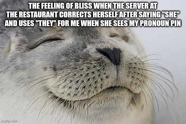 Satisfied Seal | The feeling of bliss when the server at the restaurant corrects herself after saying "she" and uses "they" for me when she sees my pronoun pin | image tagged in memes,satisfied seal | made w/ Imgflip meme maker