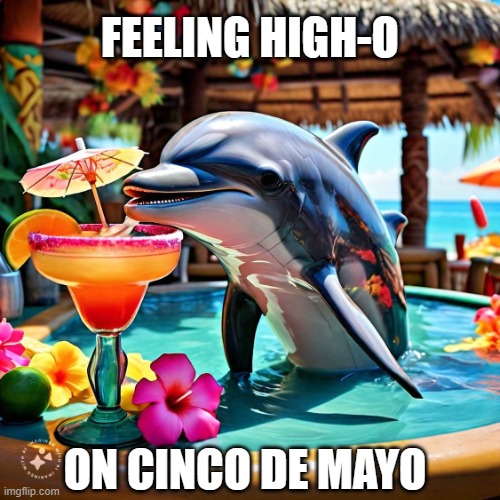Happy Cinco de High-O! | Feeling High-o; on Cinco de Mayo | image tagged in cinco de mayo,high af,getting high,too damn high,high,dumb joke dolphin | made w/ Imgflip meme maker