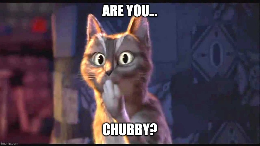 Oooh Cat | Are you... Chubby? | image tagged in oooh cat,memes | made w/ Imgflip meme maker