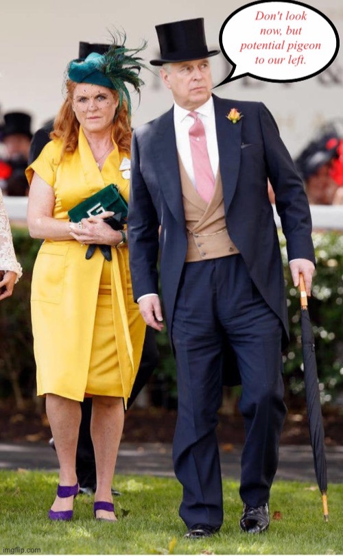 Victimhood In The Flesh | image tagged in where's a stool pigeon when you need one | made w/ Imgflip meme maker