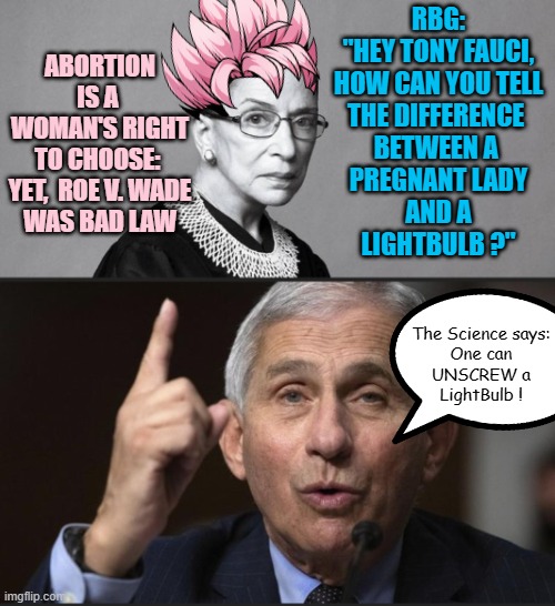 One Way to Unscrew a LightBulb is to ABORT the effort, and replace the whole fixture. | RBG:
"Hey tony fauci,
How can you tell
the difference 
between a 
pregnant lady
and a
lightbulb ?"; Abortion
is a 
woman's right
to choose: 
yet,  roe v. wade
was bad law; The Science says:
One can
UNSCREW a
LightBulb ! | image tagged in rbg,fauci i am the science,i am healthcare,women rights,abortion,covid vaccine | made w/ Imgflip meme maker