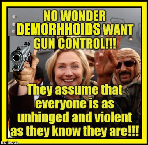 Why Demorhhoids want gun control | Demorhhoids | image tagged in img 37 jpeg,hillary,gun control,evil | made w/ Imgflip meme maker