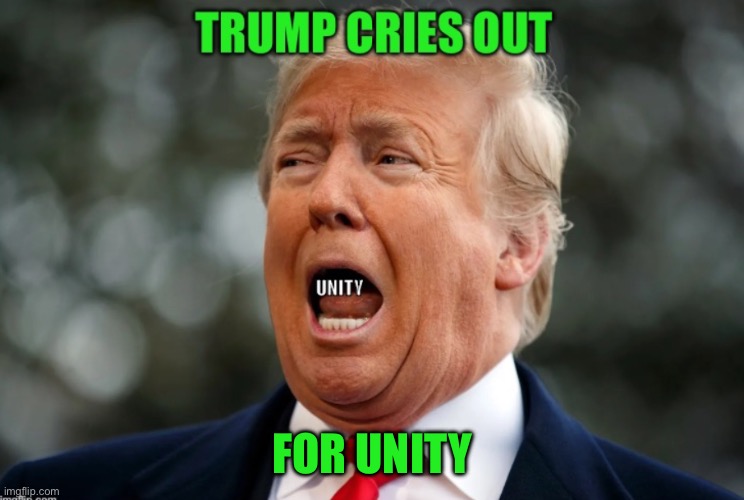 IMG_8873.jpeg | For unity | image tagged in img_8873 jpeg | made w/ Imgflip meme maker