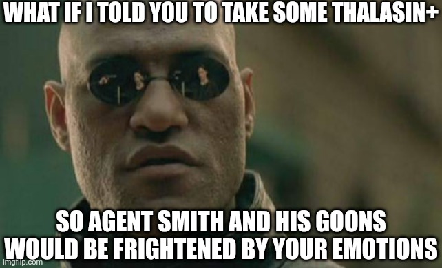 Matrix Morpheus Meme | What if i told you to take some thalasin+; So agent smith and his goons would be frightened by your emotions | image tagged in memes,matrix morpheus,matrix,the matrix,what if i told you | made w/ Imgflip meme maker