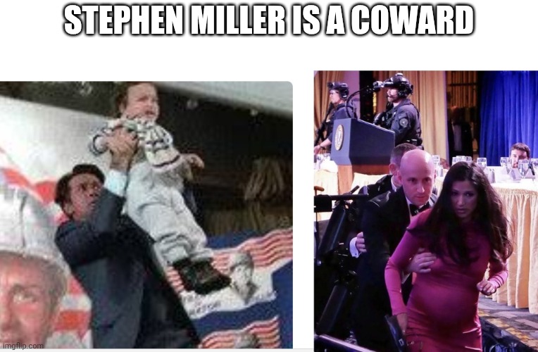 Failure to MAGA | Stephen Miller is a cowArd | image tagged in aqaedr jpg,steven miller | made w/ Imgflip meme maker